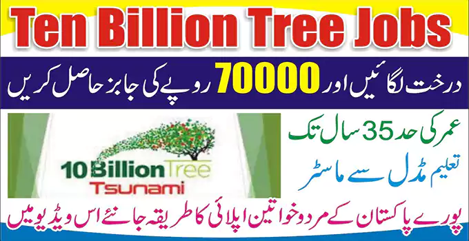Ten Billion Tsunami Programme Peshawar Jobs 2022 via KPITB