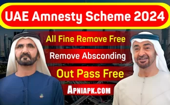 UAE Amnesty Scheme 2024 Remove All Types UAE Fines For Free Apply Now