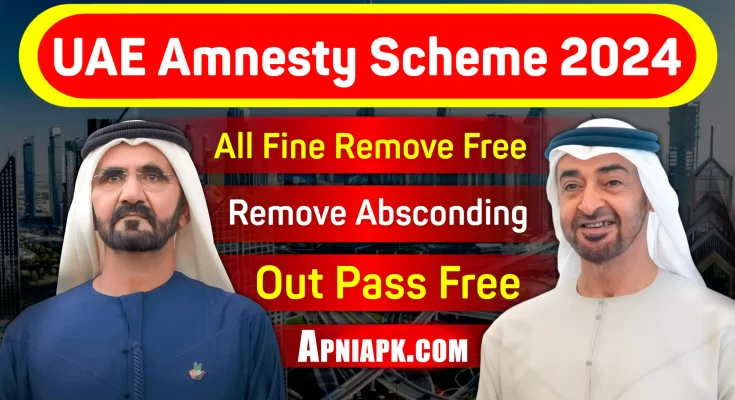 UAE Amnesty Scheme 2024 Remove All Types UAE Fines For Free Apply Now